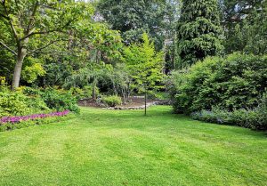 Optimiser l'expérience du jardin à Berentzwiller